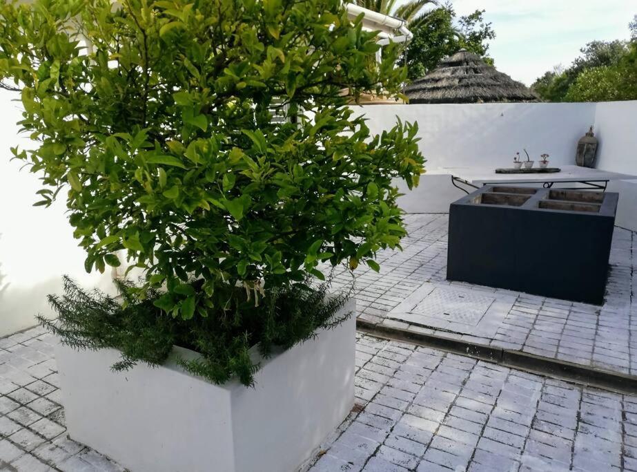 Holiday home House Mosselrivier